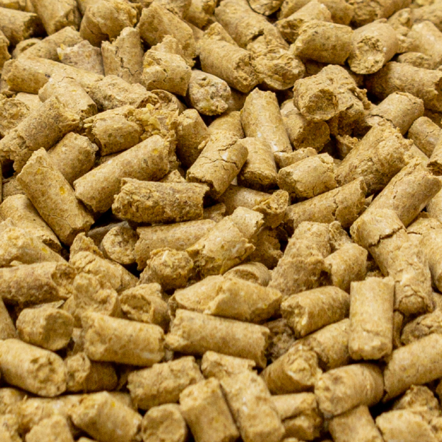 10% Alfalfa Pellets