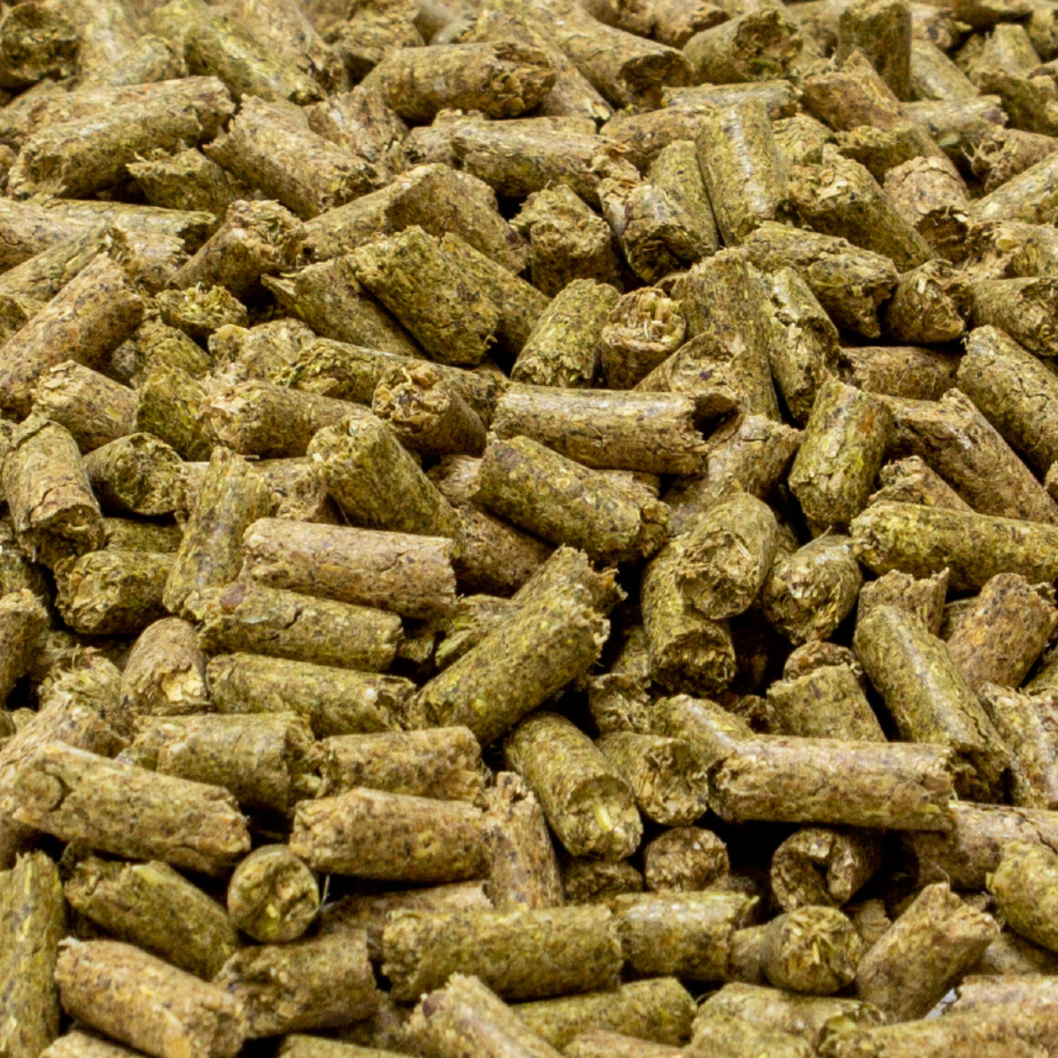 16% Alfalfa Pellets