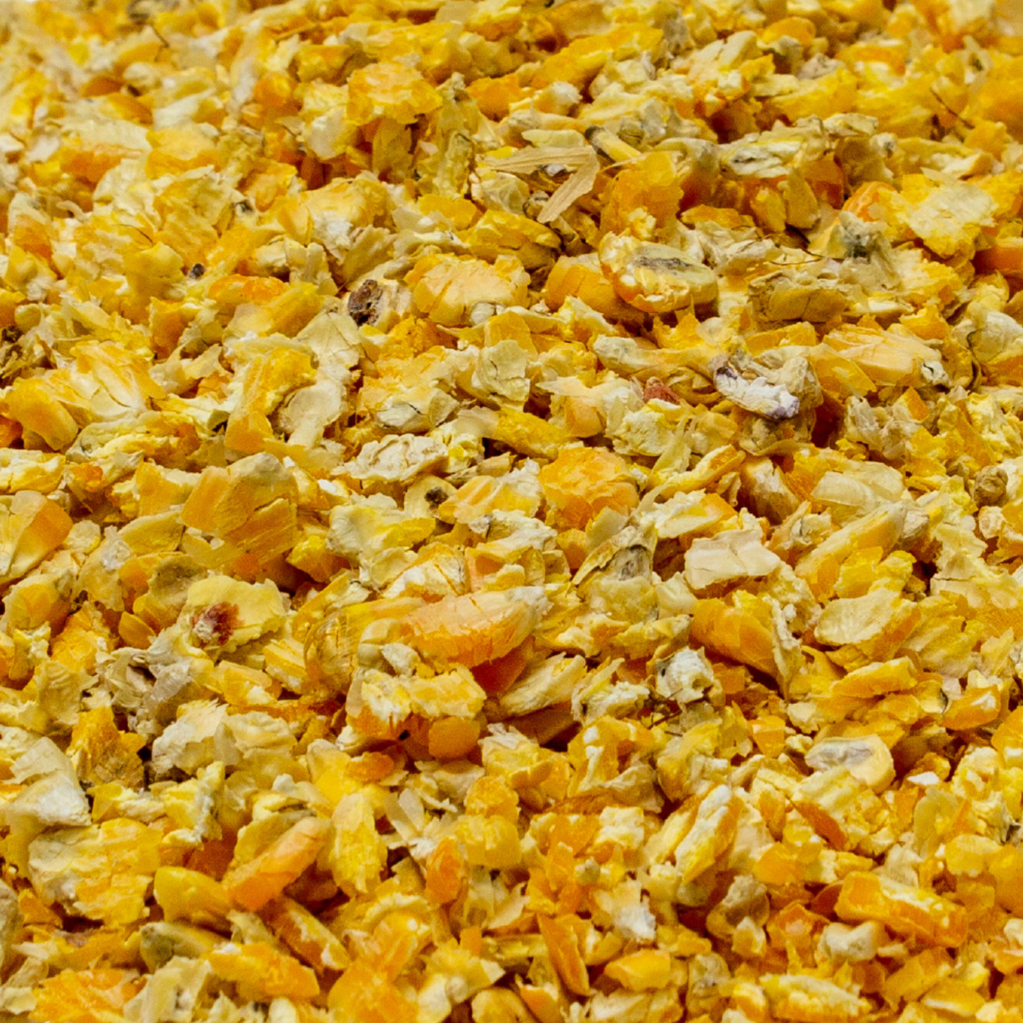 Crushed Maize