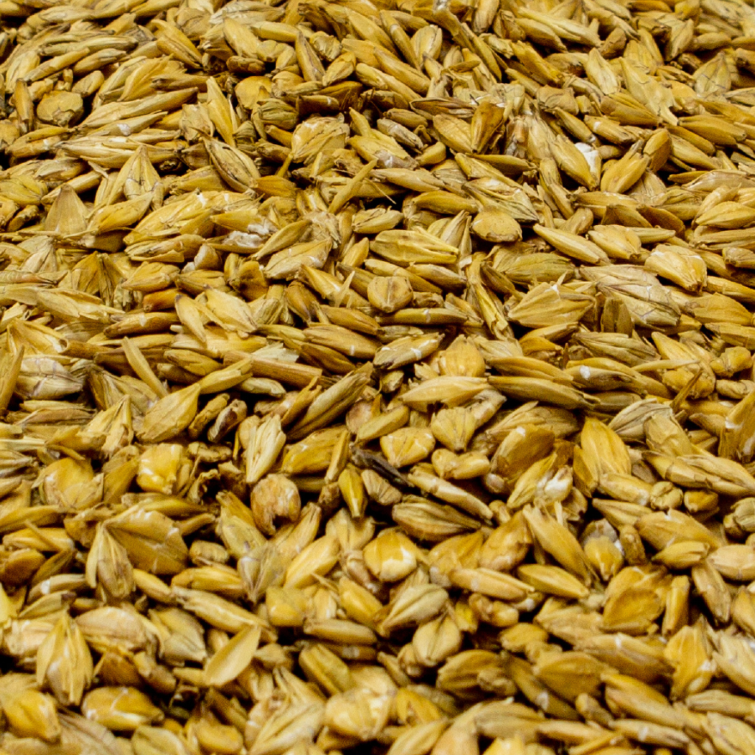 Flaked Barley