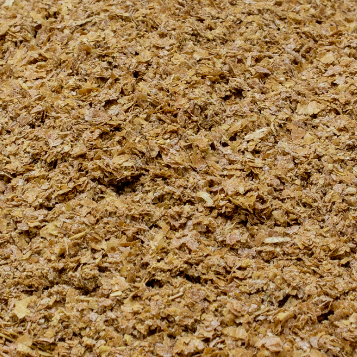 Wheat Bran