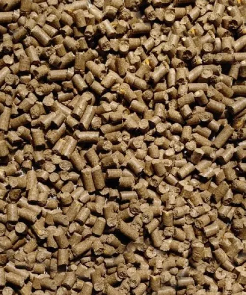 cattle-feed-pallet-8-mm-500x500